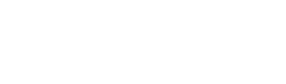 Projekt io